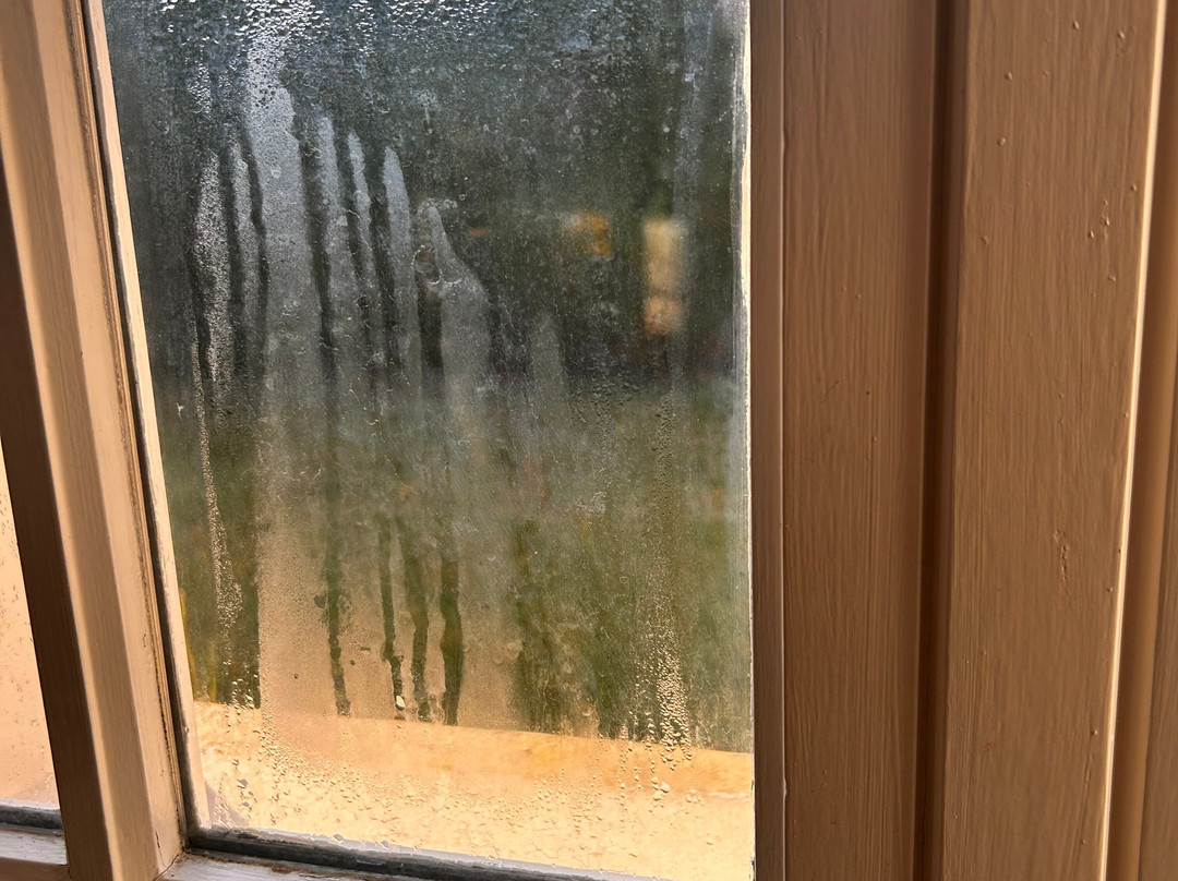 La Malouiniere des Longchamps主图