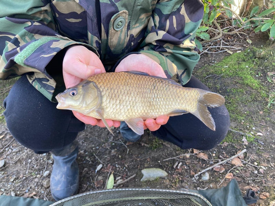 Bron Eifion Coarse Fishing-Criccieth必去景点