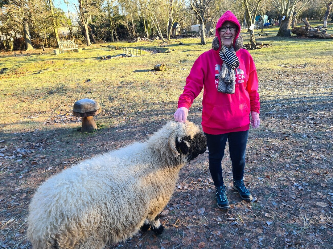Huckleberry Woods-Faversham必去景点