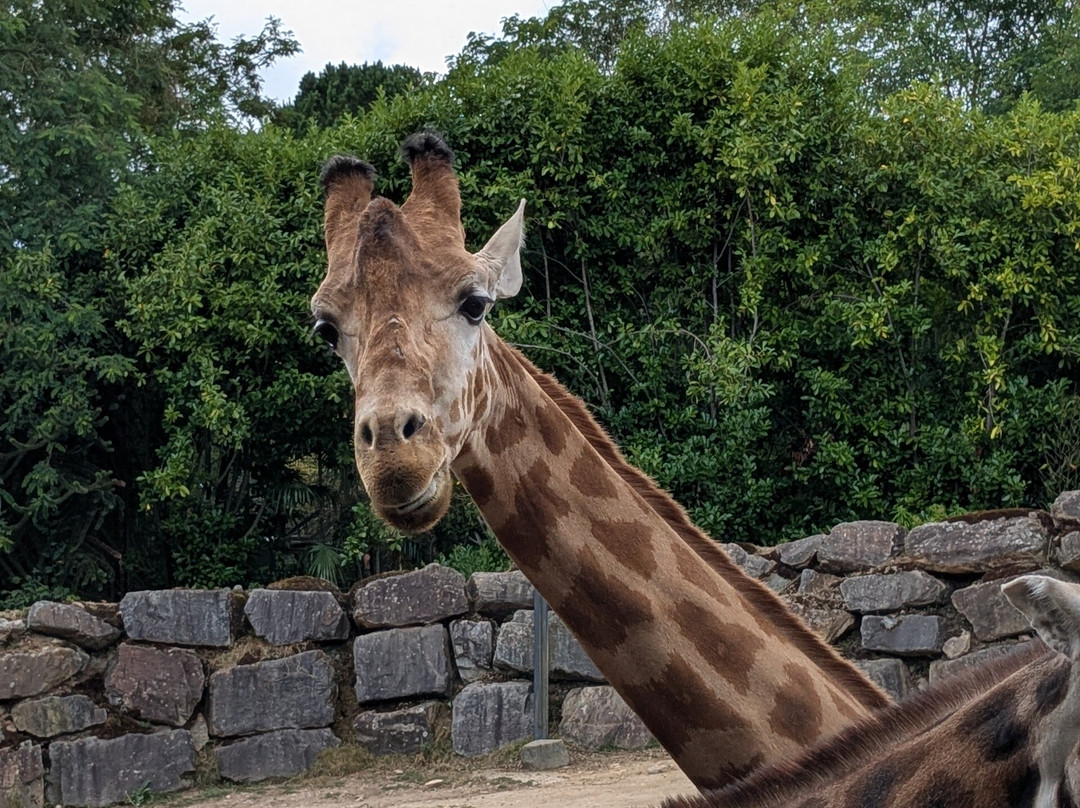 Les Terres De Nataé-Pont-Scorff必去景点