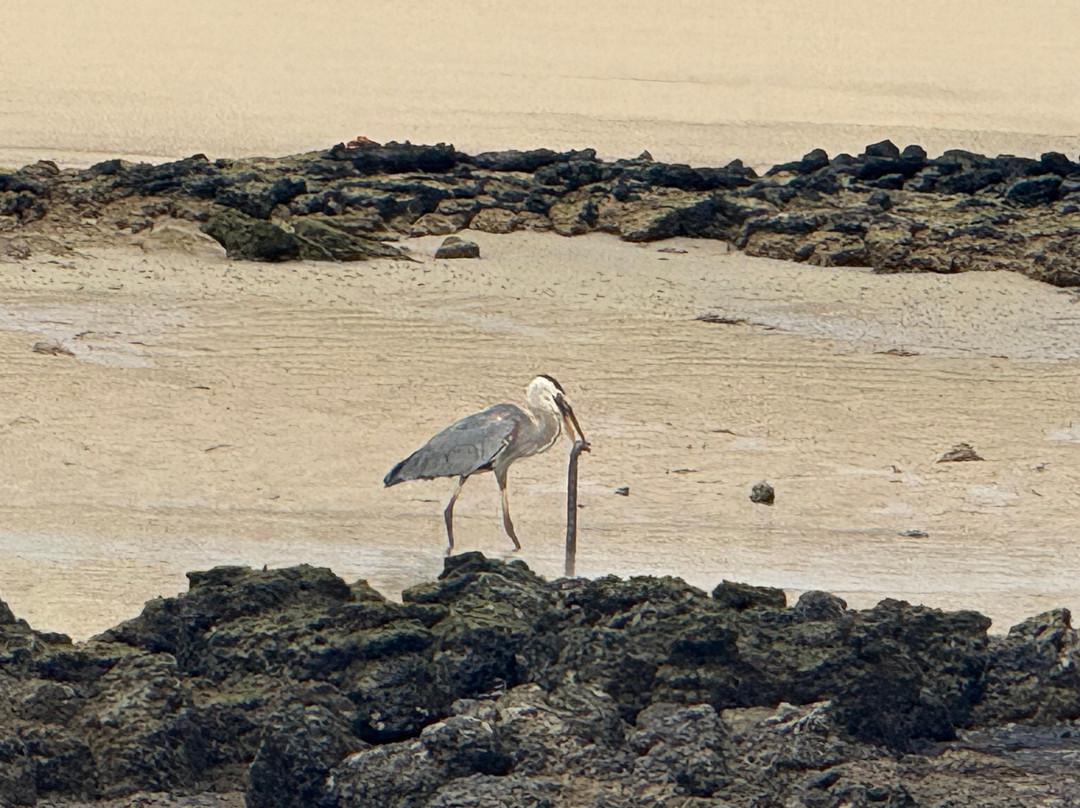 Galapagos by Local Guides-圣克鲁斯必去景点