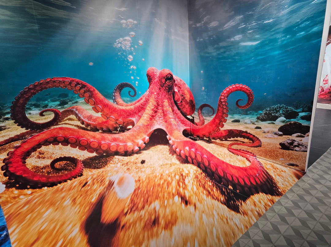 MiM - Muzeul Imaginației Maramureș-Sighetu Marmatiei必去景点