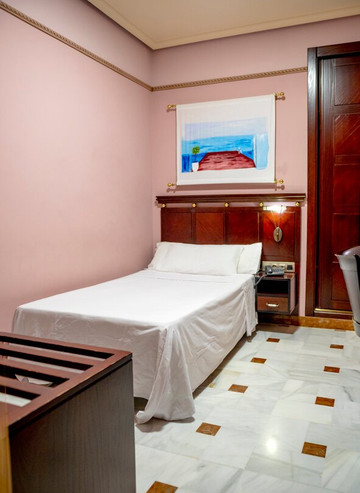 Hotel Don Miguel Plaza主图