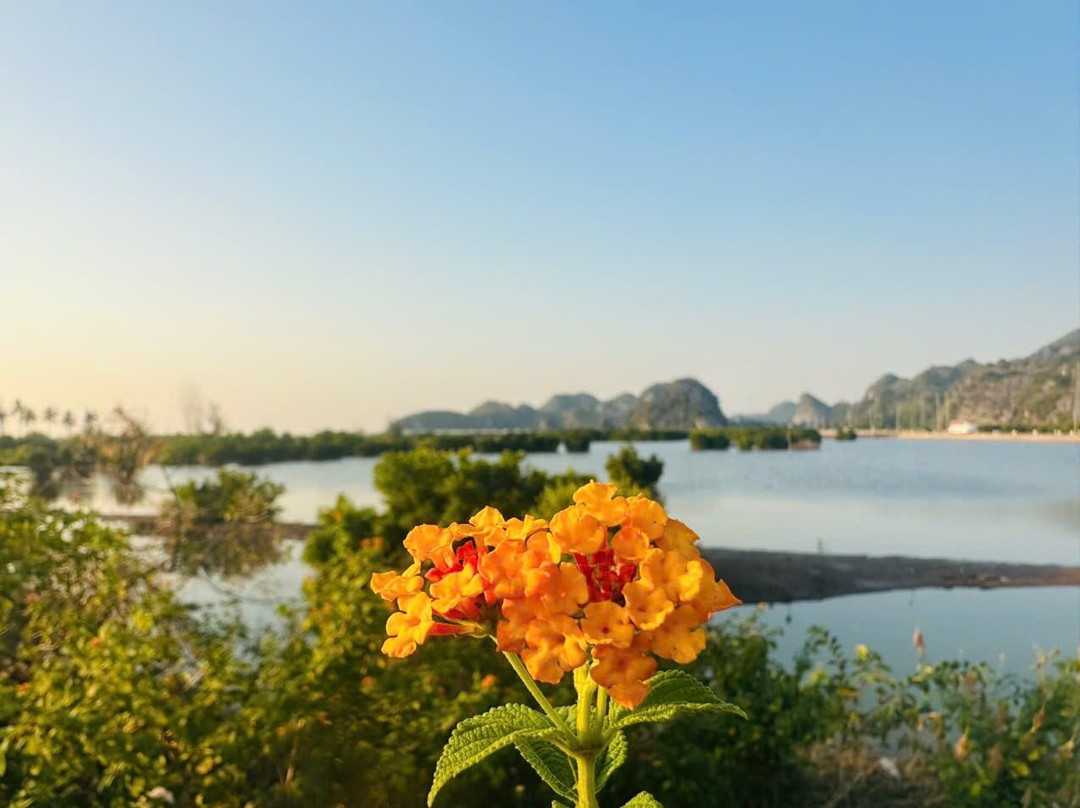 Elephant Beach-卡巴必去景点