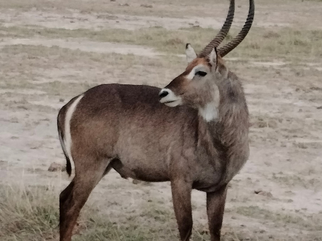 Pollman's Tours & Safaris-蒙巴萨必去景点