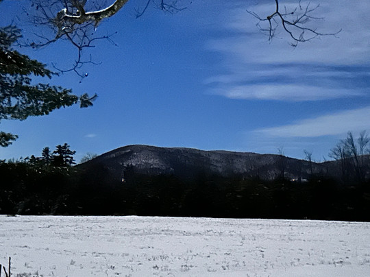 Orchard Farmhouse NH主图