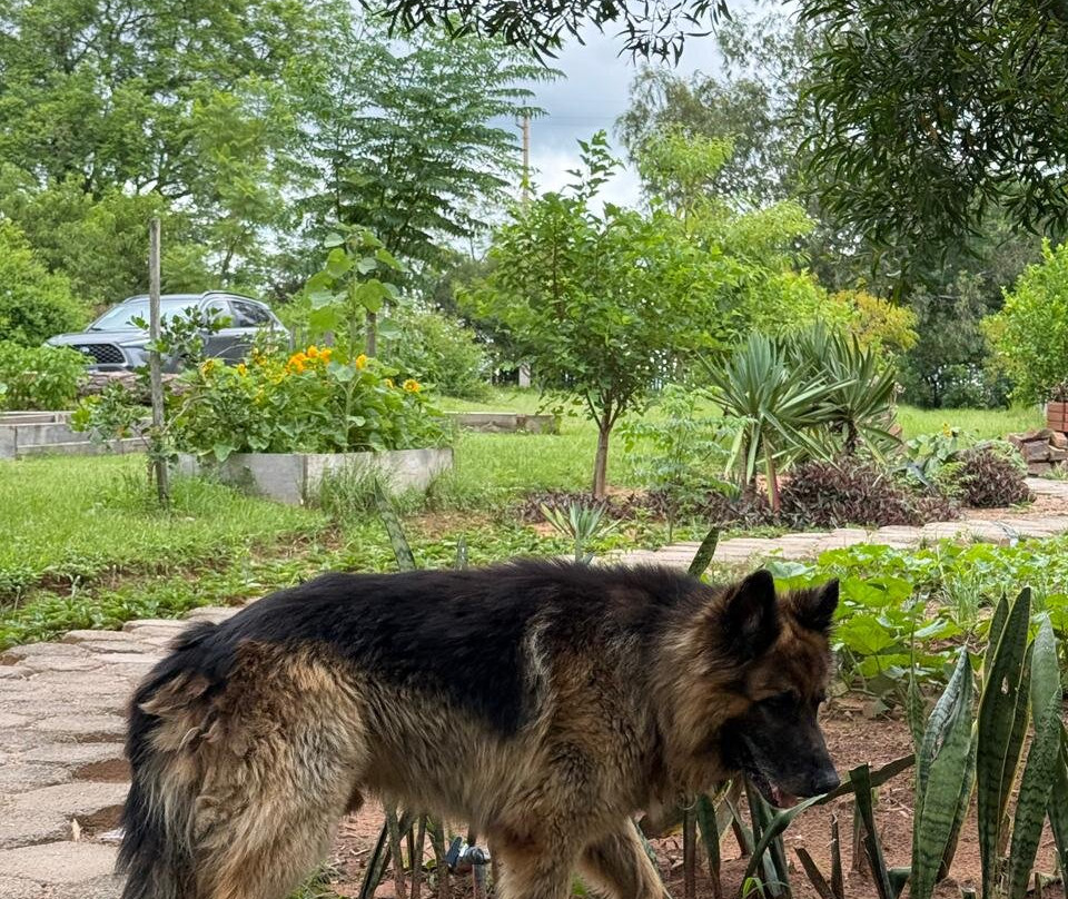 Canela Do Mato-Santana do Livramento必去景点