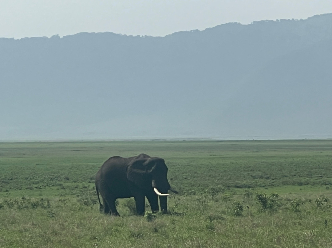 Serengeti Smile-阿鲁沙必去景点
