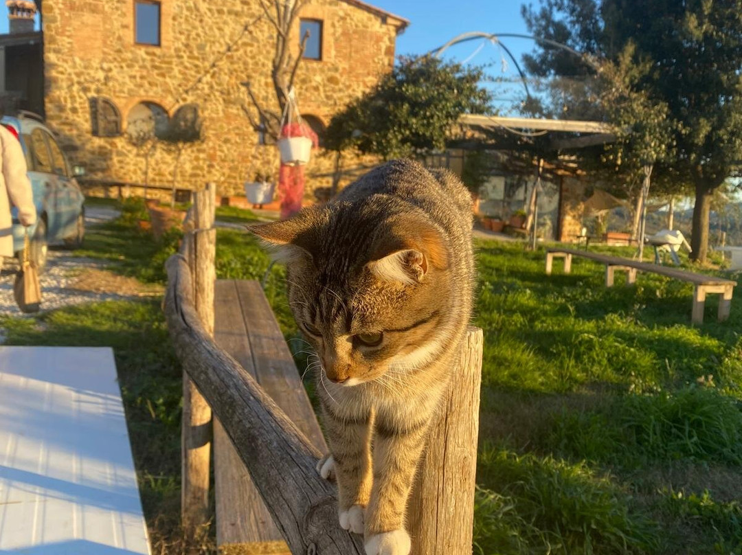 Podere Paterno-Monterotondo Marittimo必去景点