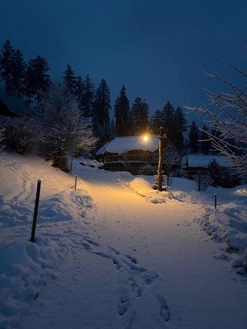 Bergdorf LiebesGrün主图