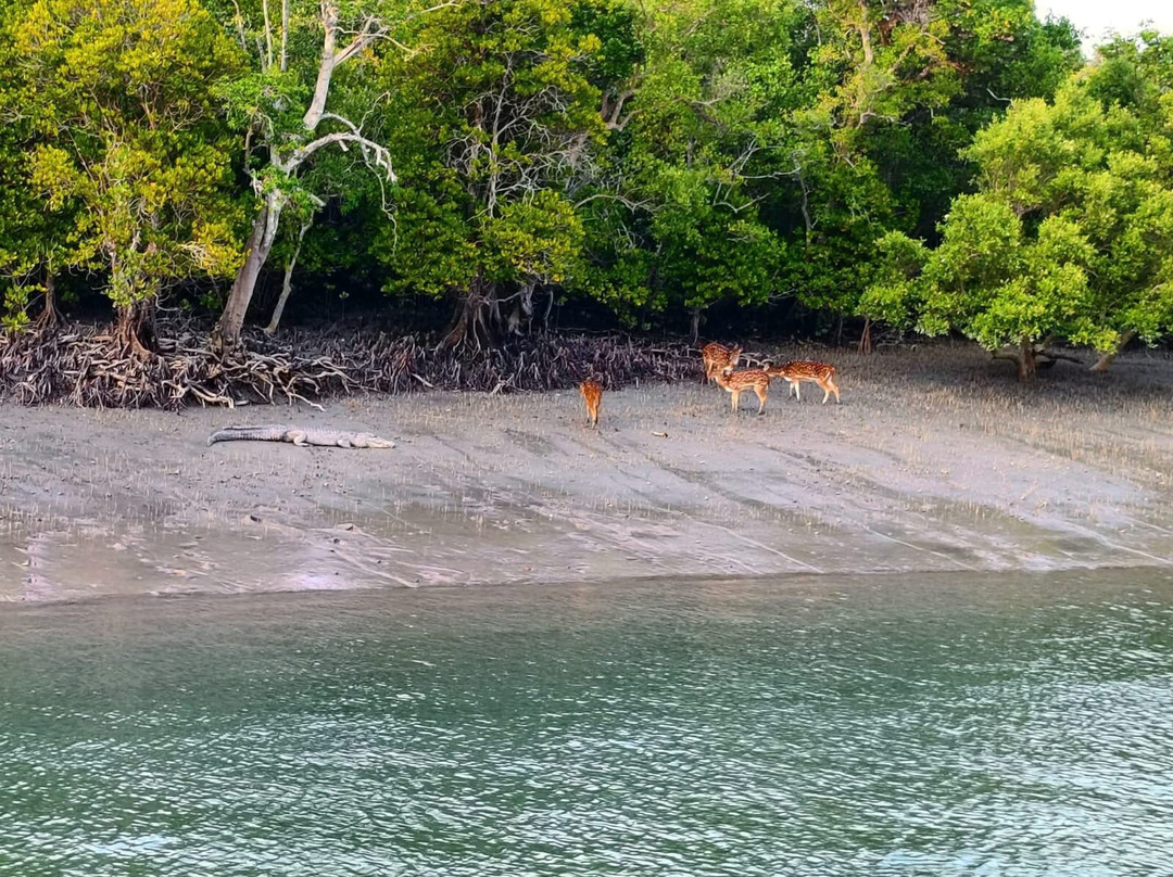 Sundarban Beckons-Gosaba必去景点