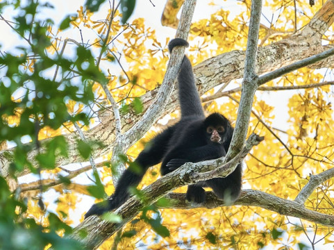 Lago Sandoval-马尔多纳多港必去景点