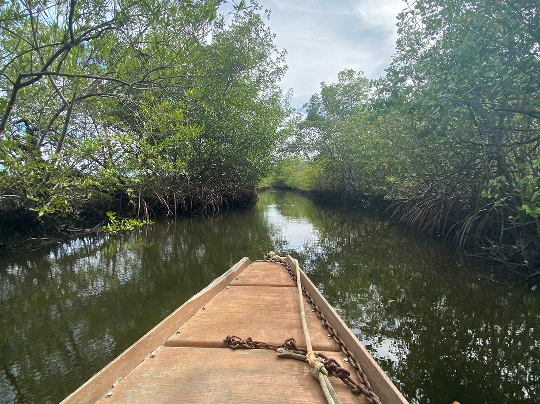EcoParque Guaraíras-Senador Georgino Avelino必去景点