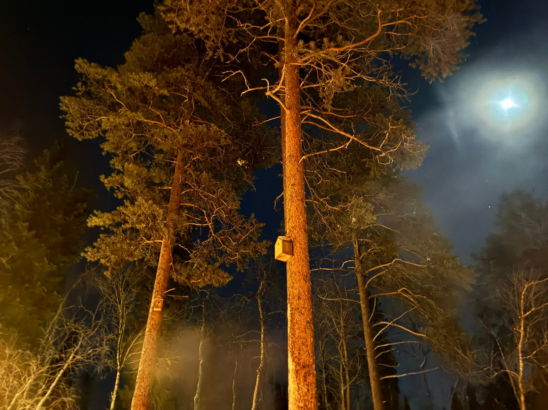 Foxfires Arctic Spa Sauna Experience-Levi必去景点