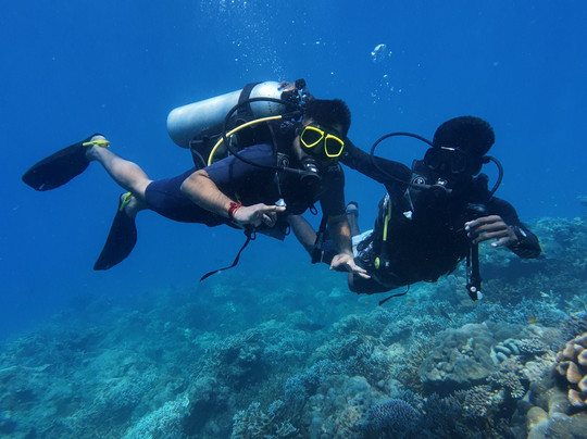 Turquoise Dream-Neil Island必去景点