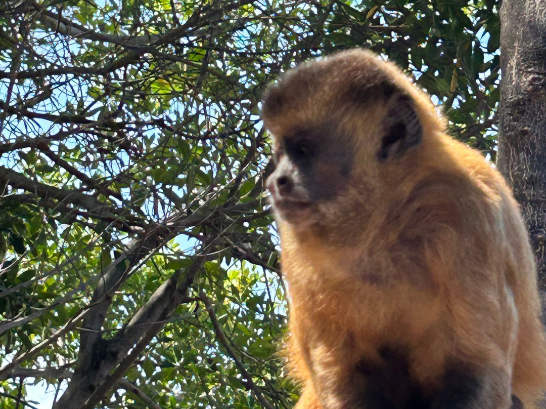 Eco Adventure Tour-Parnaiba必去景点