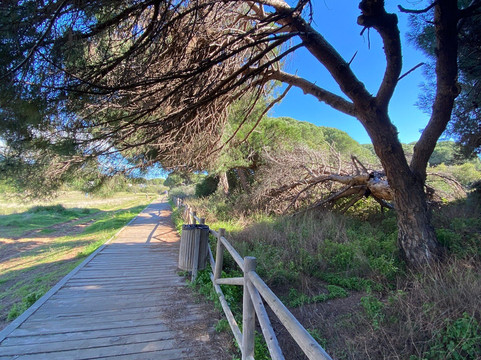 Dunas De Artola-马贝拉必去景点