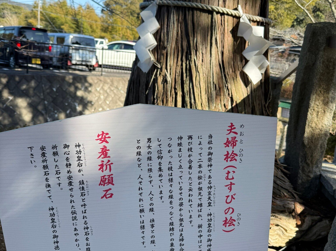 Takeo Shrine-武雄市必去景点