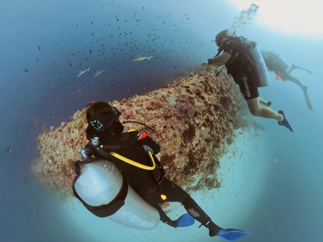 Family Divers Maldives-拉斯胡必去景点