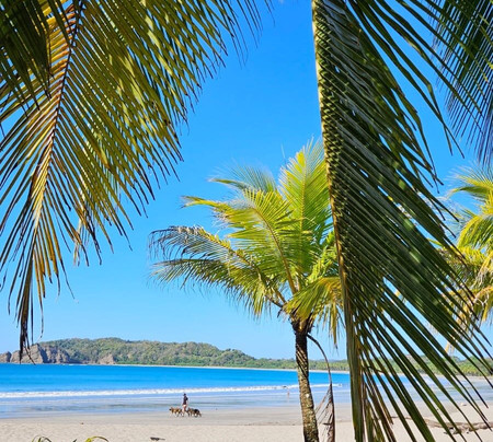 Lodge Las Estrellas de Samara主图