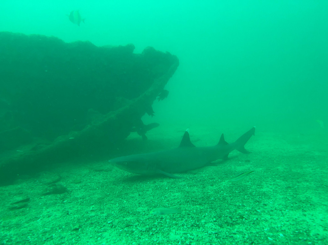 SCUBA Diving at Summer Salt Dive Center-Playas del Coco必去景点