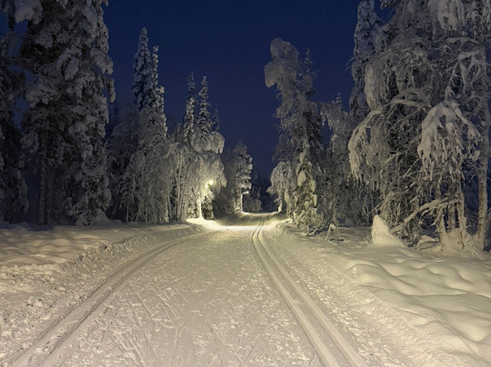 Safartica Yllas-Yllasjarvi必去景点