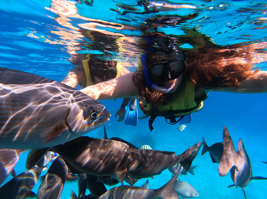 Snorkeling Tour Varadero-巴拉德罗必去景点