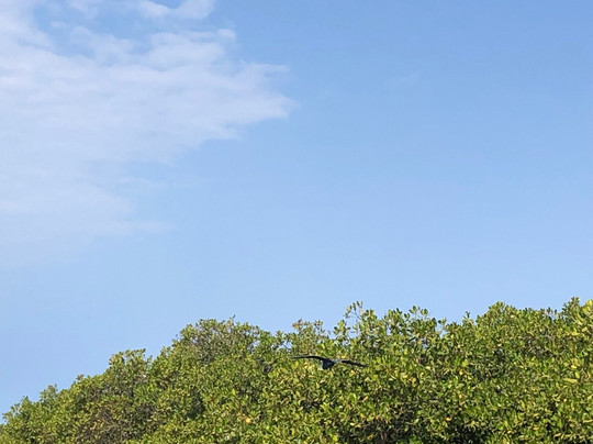 Lagune de la Somone-索蒙必去景点