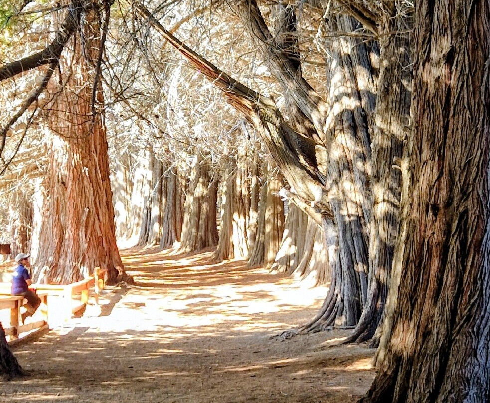 Isla Victoria-圣卡洛斯-德巴里洛切必去景点