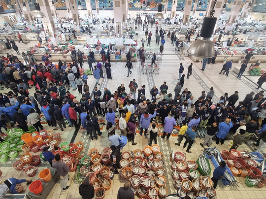 The Fish Market-Kuwait City必去景点