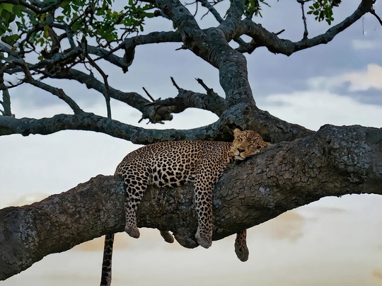 Mchaka Mchaka Tours-Mloka必去景点