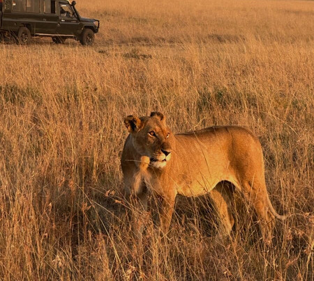 Mchaka Mchaka Tours-Mloka必去景点