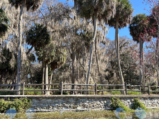 Silver Springs River-奥卡拉必去景点