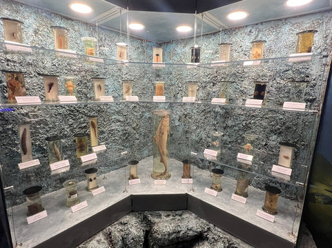 Murmansk Regional Museum of Local History-摩尔曼斯克必去景点