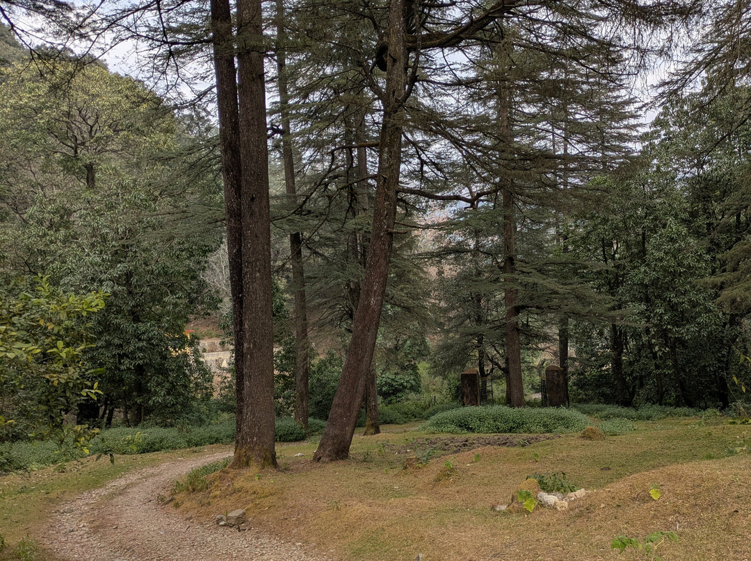 Benog Wildlife Sanctuary-马苏里必去景点