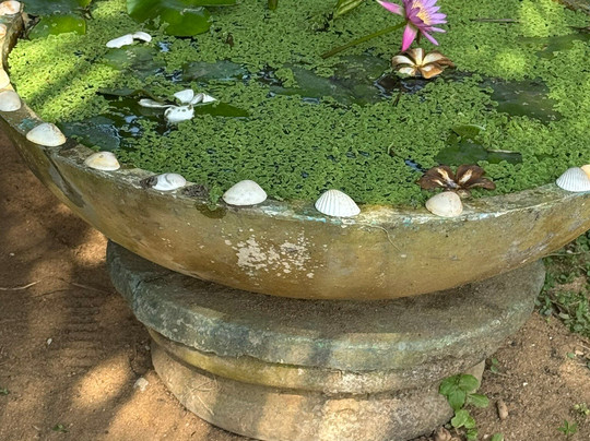 Roman Life Ayurveda Resort主图