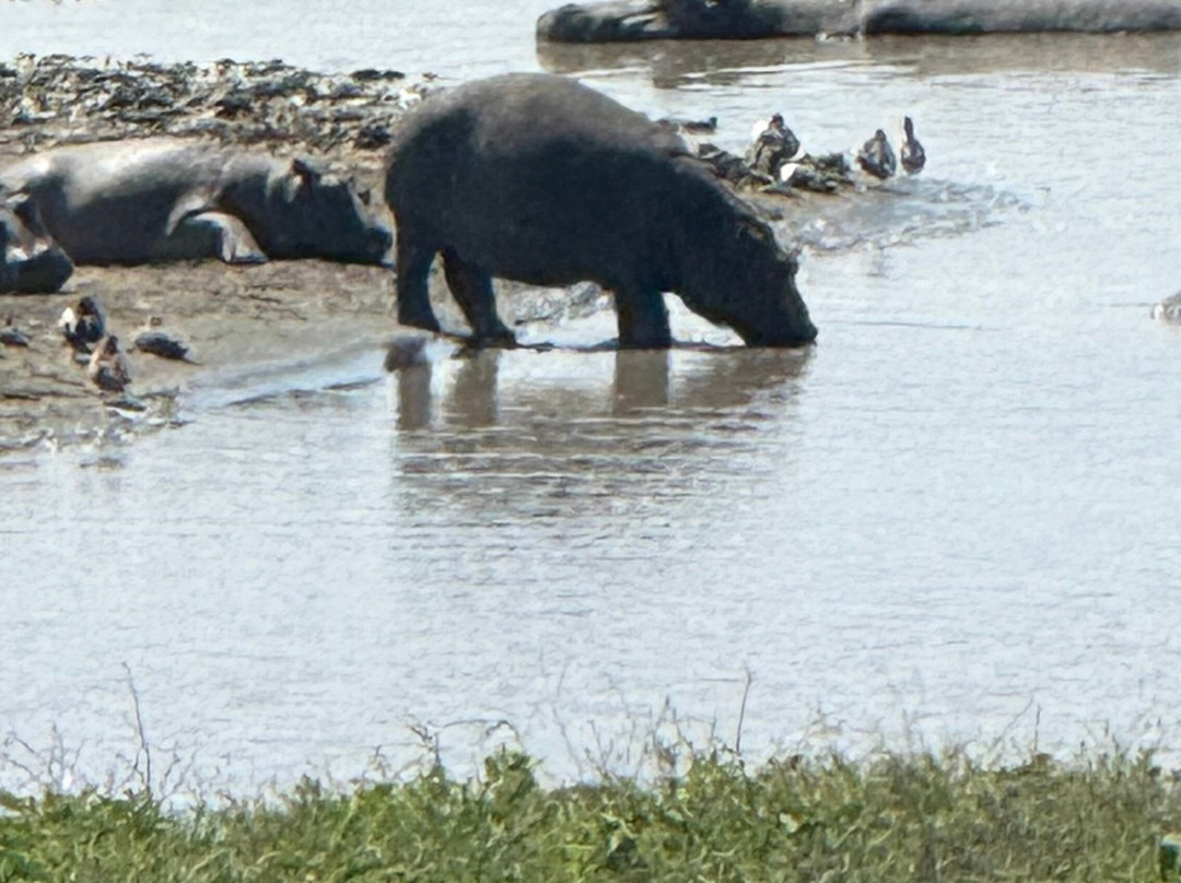 Unlimited Expeditions - The Soul Of Tanzania-阿鲁沙必去景点