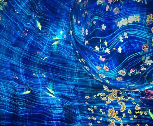 teamLab Phenomena Abu Dhabi-阿布扎比必去景点