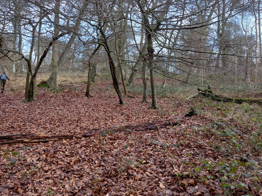 Watlington Hill-Watlington必去景点