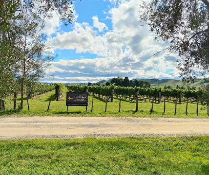 Ash Ridge Wines-黑斯廷斯必去景点