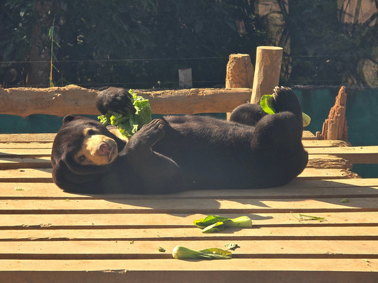 Luang Prabang Wildlife Sanctuary-琅勃拉邦必去景点