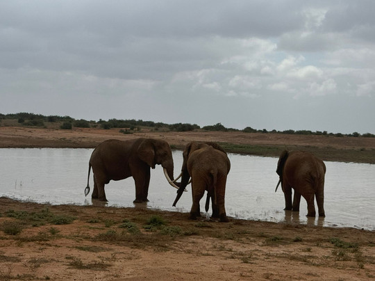 Richy Safaris Kenya-瓦塔木必去景点