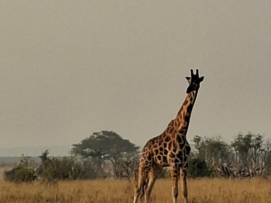 Insight Safari Holidays-Kanungu必去景点