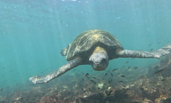 Galapagos Surf Adventure-Puerto Baquerizo Moreno必去景点