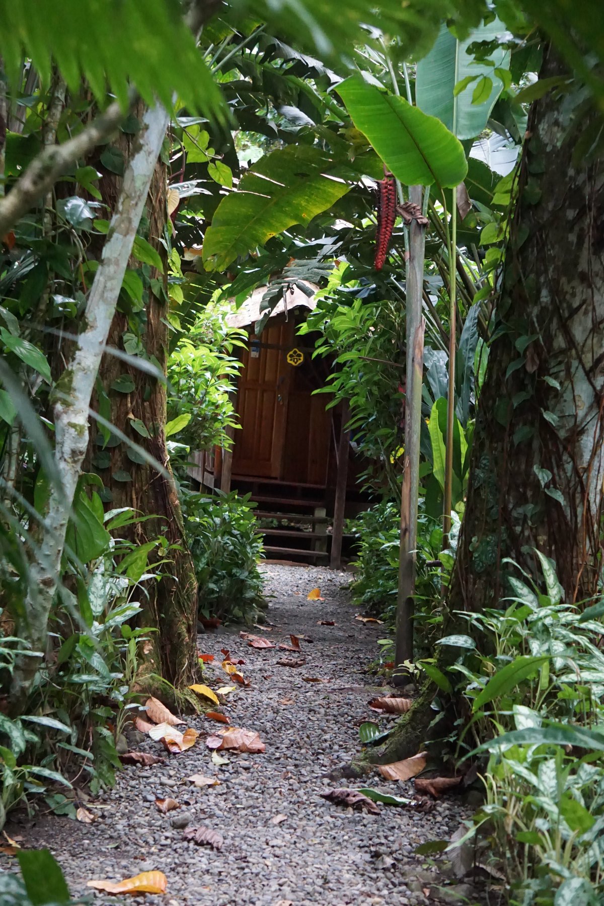 蒂耶拉苏埃尼奥斯疗养中心度假村-官方