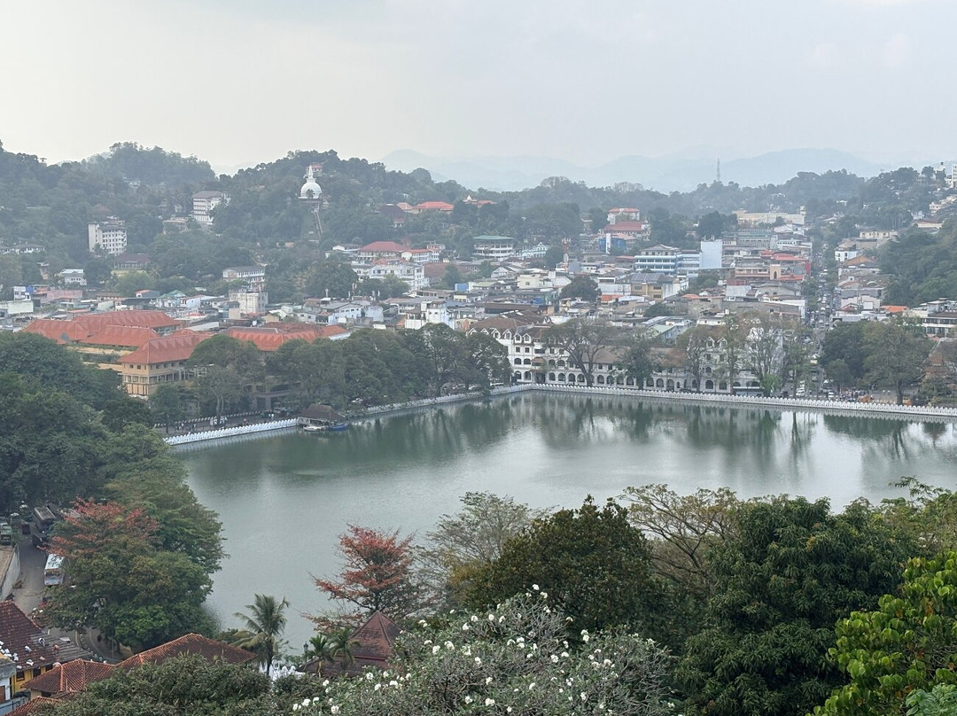 Theo Tuk Tuk Tours-康提必去景点