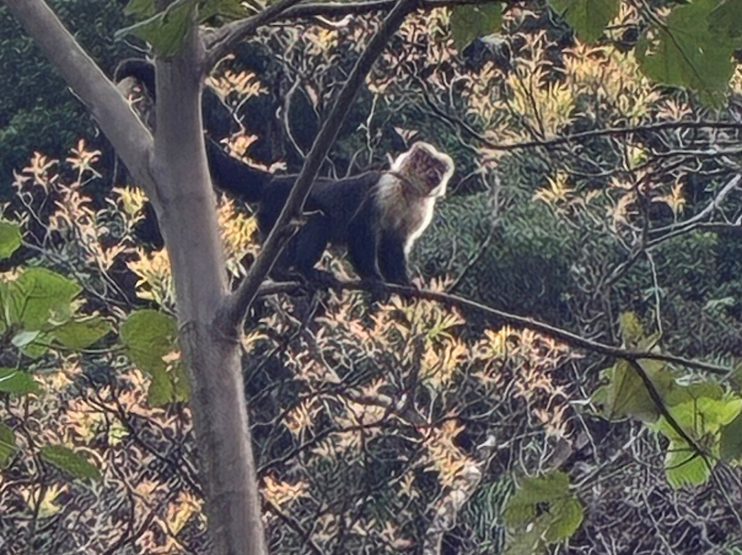Aventuras Costa Rica-Atenas必去景点