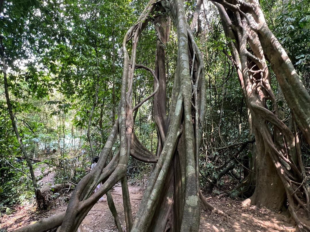 Cheow Lan Lake Khao Sok National Park-拉克山必去景点