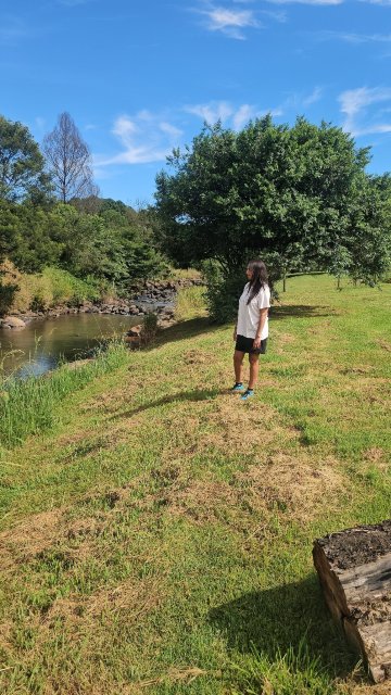 Gowan Valley Guest Farm-官方