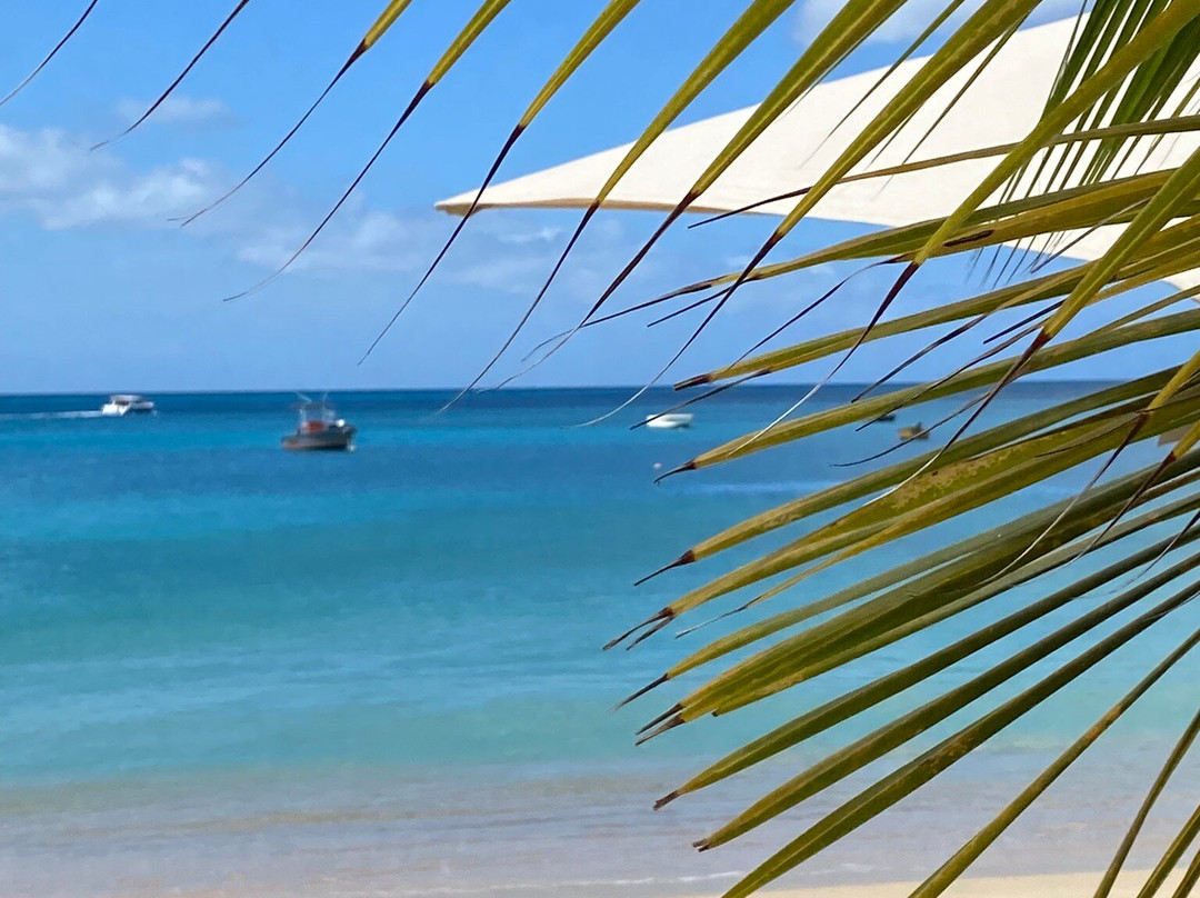 Crocus Bay Beach-The Valley必去景点